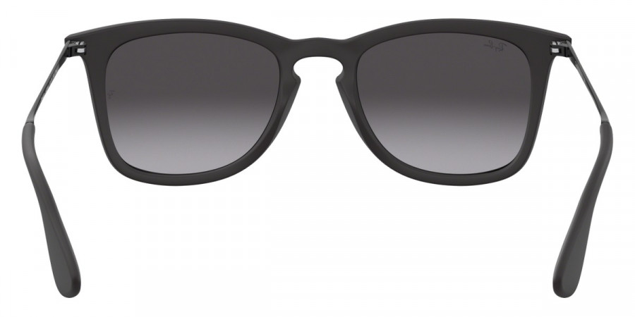 Ray-Ban™ - RB4221