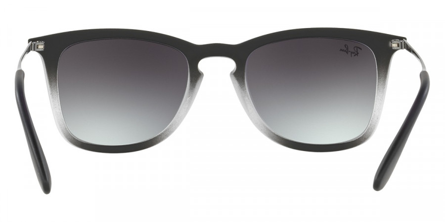 Ray-Ban™ - RB4221