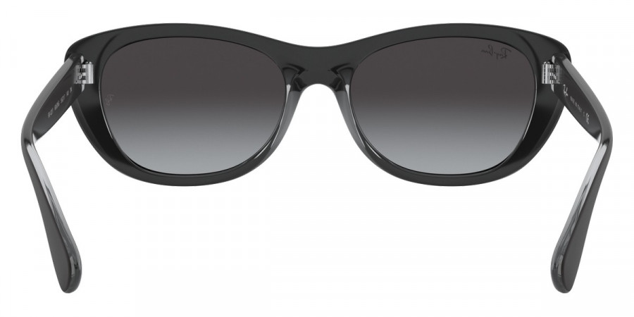 Ray-Ban™ - RB4227