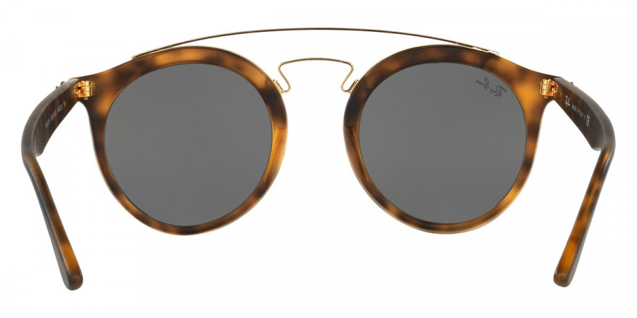 Ray-Ban™ - New Gatsby I RB4256