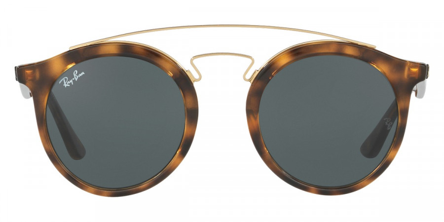 Ray-Ban™ - New Gatsby I RB4256