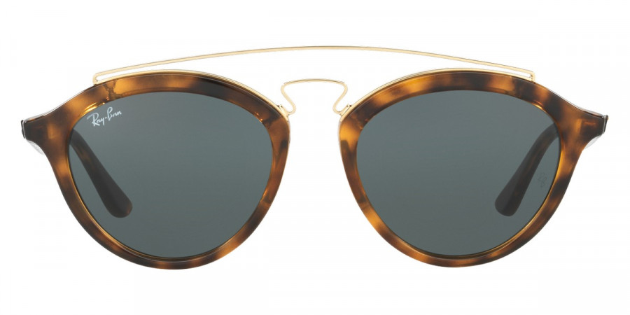 Ray-Ban™ - New Gatsby Ii RB4257