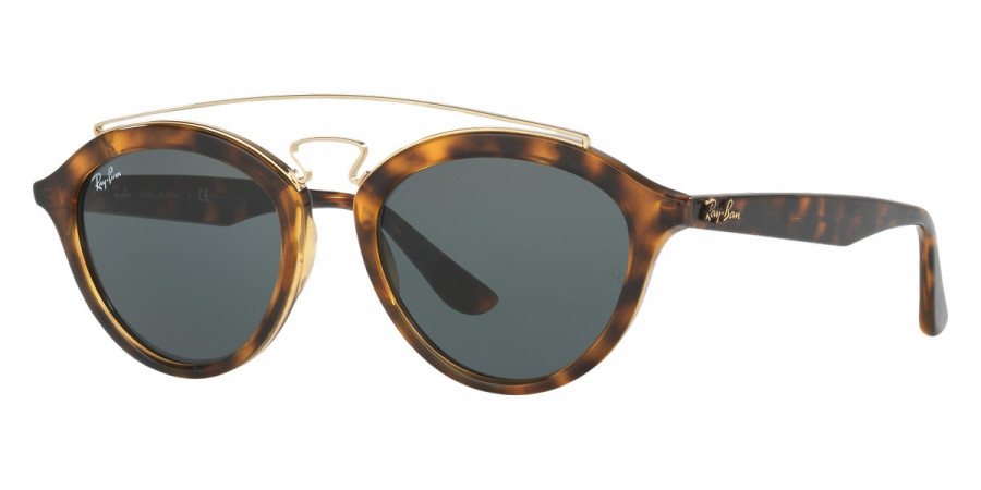 Ray-Ban™ - New Gatsby Ii RB4257