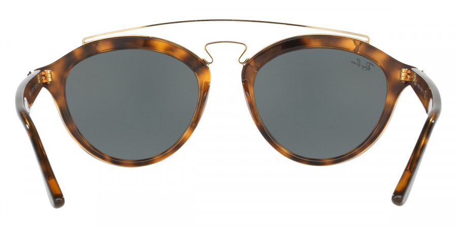 Ray-Ban™ - New Gatsby Ii RB4257