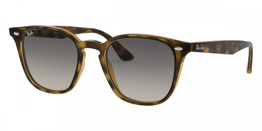 Ray-Ban™ - RB4258