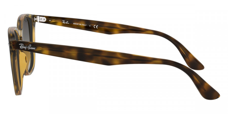 Ray-Ban™ - RB4258