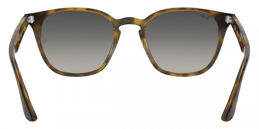 Ray-Ban™ - RB4258