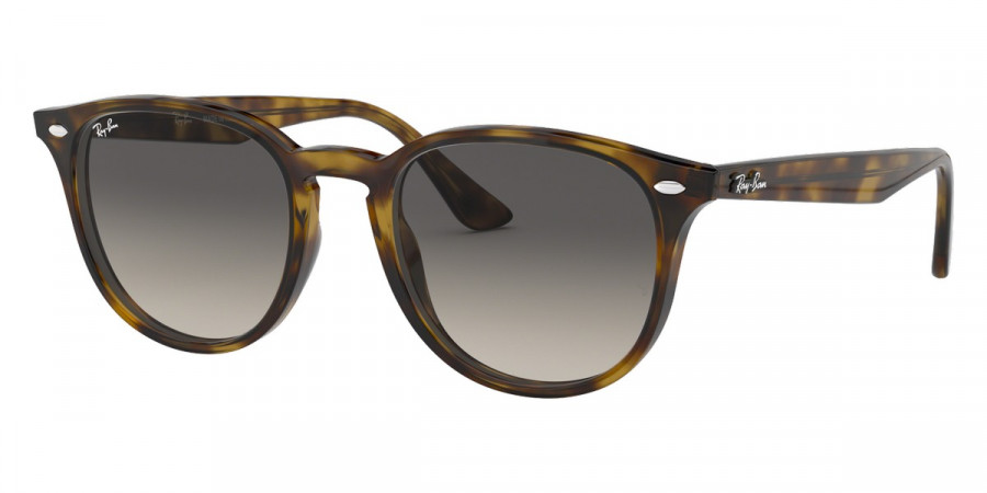 Ray-Ban™ - RB4259F