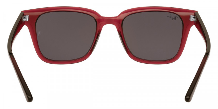 Ray-Ban™ - RB4323