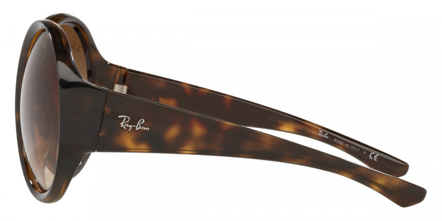 Ray-Ban™ - RB4345