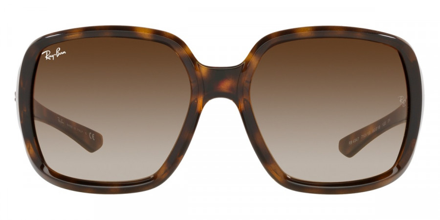 Ray-Ban™ - Powderhorn RB4347