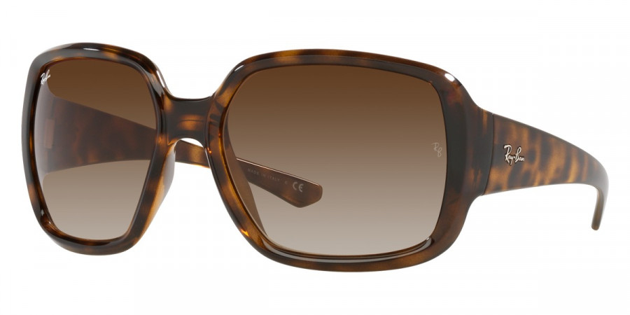 Ray-Ban™ - Powderhorn RB4347