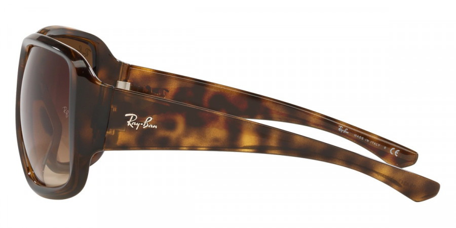 Ray-Ban™ - Powderhorn RB4347