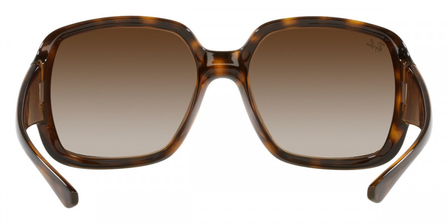 Ray-Ban™ - Powderhorn RB4347