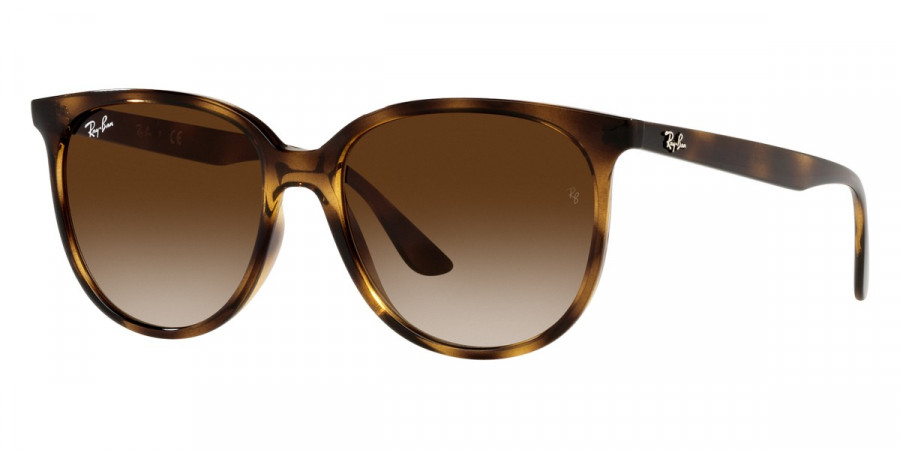 Ray-Ban™ - RB4378