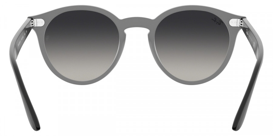 Ray-Ban™ - Blaze Panthos RB4380N