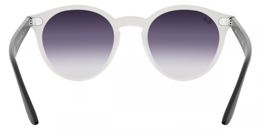 Ray-Ban™ - Blaze Panthos RB4380N