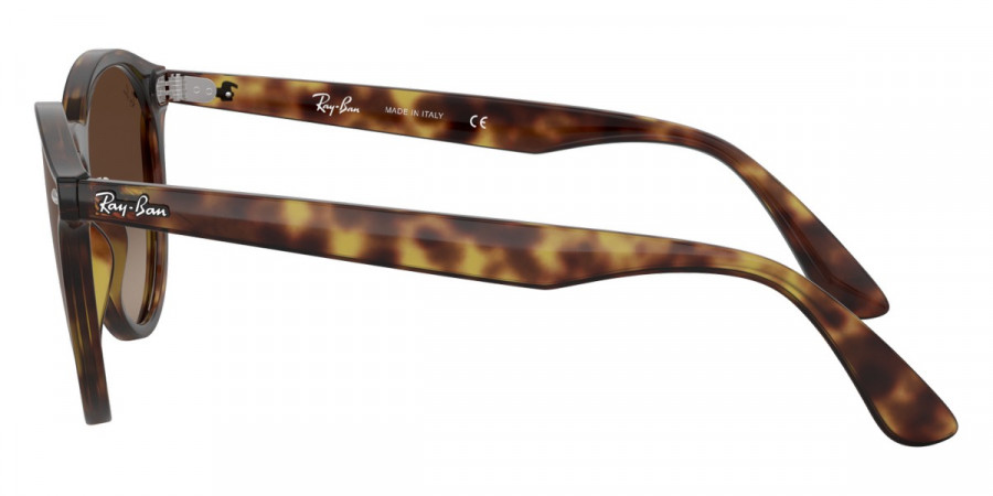 Ray-Ban™ - Blaze Panthos RB4380N