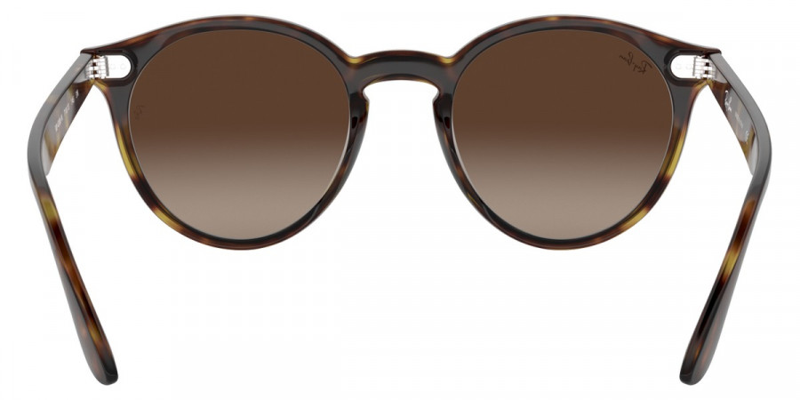 Ray-Ban™ - Blaze Panthos RB4380N