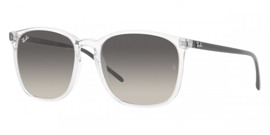 Ray-Ban™ - RB4387