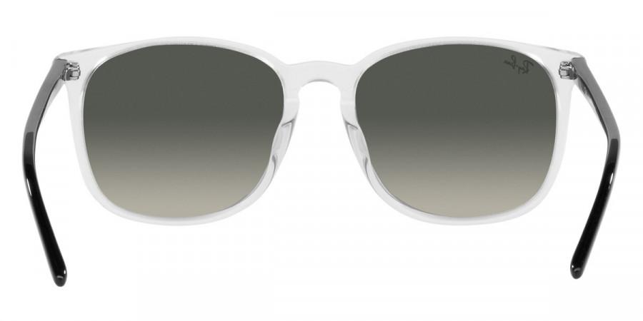 Ray-Ban™ - RB4387F