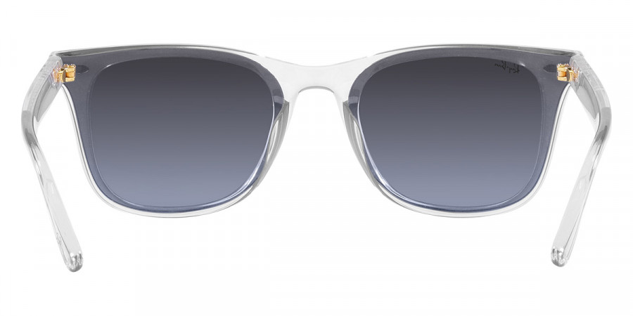 Ray-Ban™ - RB4391D