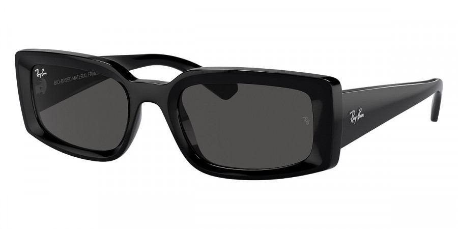 Ray-Ban™ Kiliane RB4395 667787 54 - Black