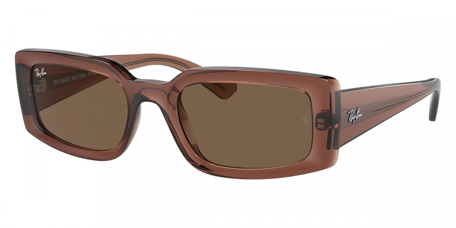 Ray-Ban™ Kiliane RB4395 667873 54 - Transparent Brown