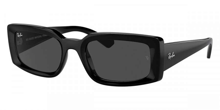 Ray-Ban™ Kiliane RB4395F 667787 54 - Black