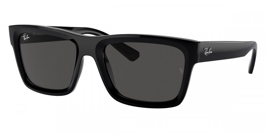 Ray-Ban™ Warren RB4396 667787 57 - Black