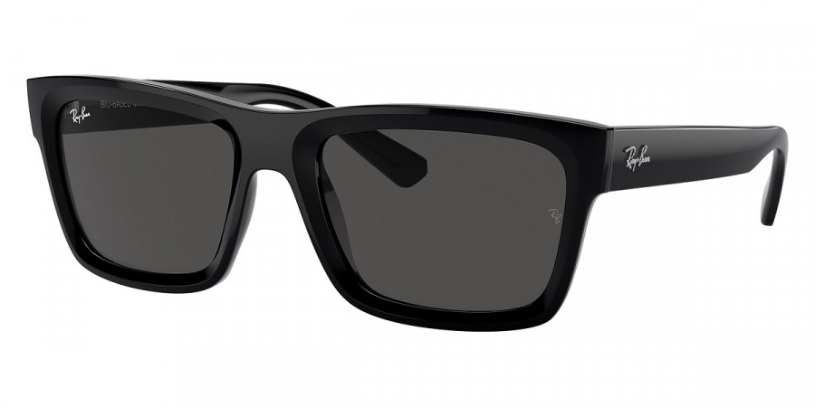 Ray-Ban™ Warren RB4396F 667787 57 - Black