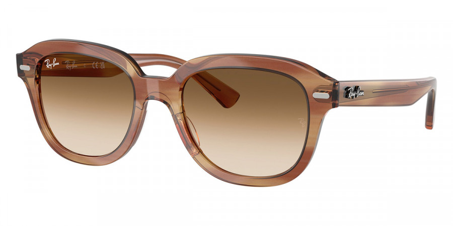 Ray-Ban™ Erik RB4398 140351 53 - Striped Brown