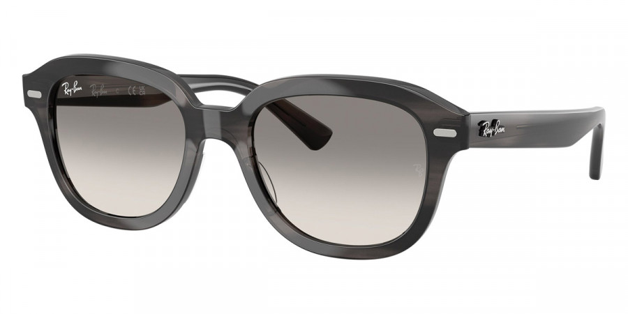 Ray-Ban™ Erik RB4398 140432 53 - Striped Gray