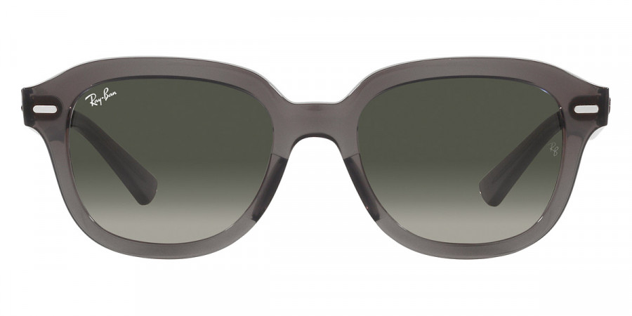 Ray-Ban™ - Erik RB4398