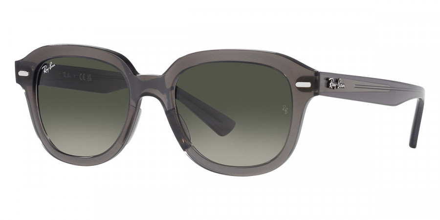 Ray-Ban™ - Erik RB4398