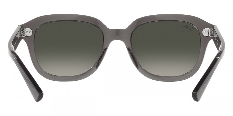 Ray-Ban™ - Erik RB4398