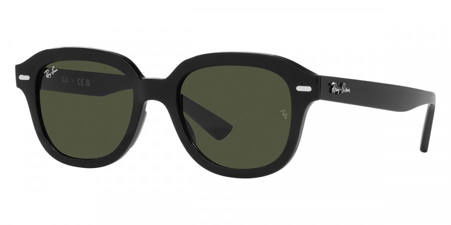 Ray-Ban™ - Erik RB4398