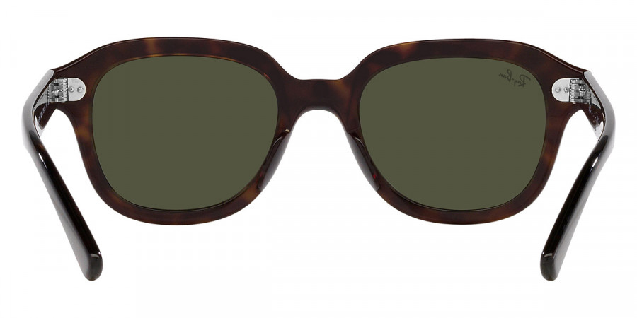 Ray-Ban™ - Erik RB4398