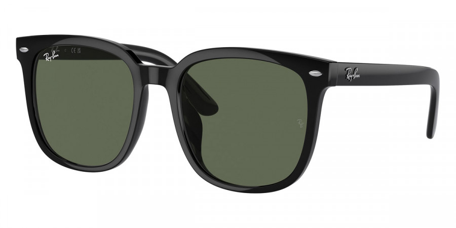 Ray-Ban™ RB4401D 601/71 55 - Black