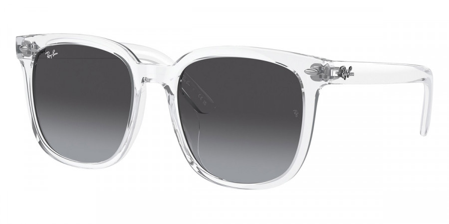 Ray-Ban™ - RB4401D