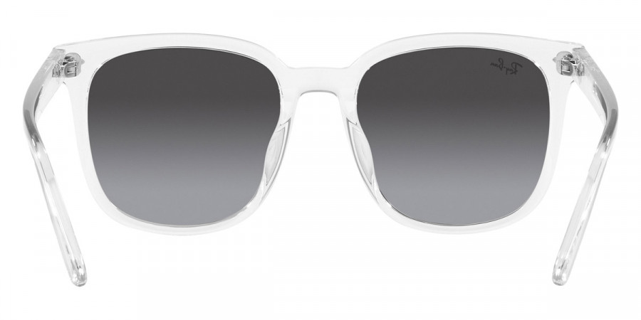 Ray-Ban™ - RB4401D