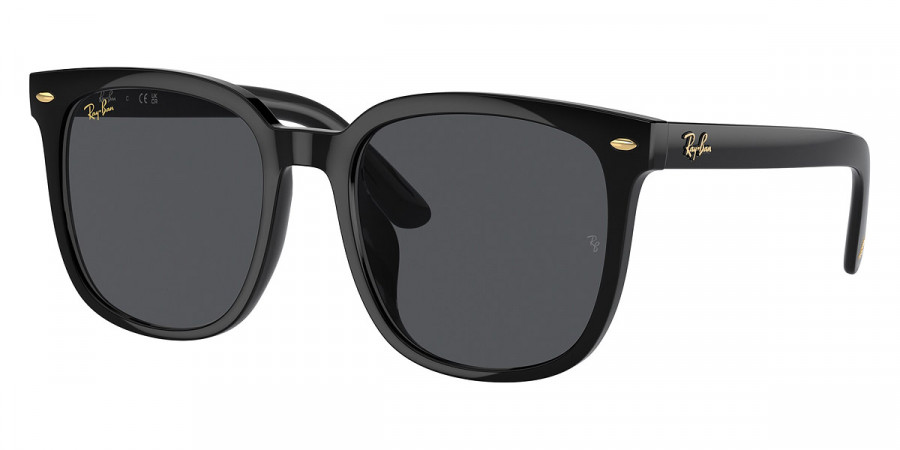 Ray-Ban™ RB4401D 675787 57 - Black