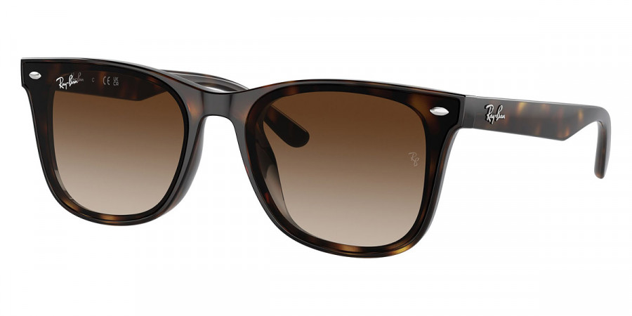 Ray-Ban™ - RB4420