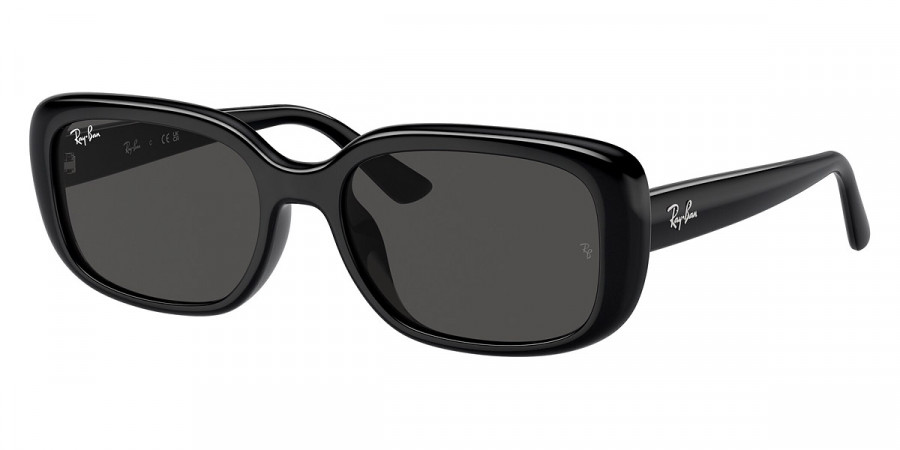 Ray-Ban™ - RB4421D