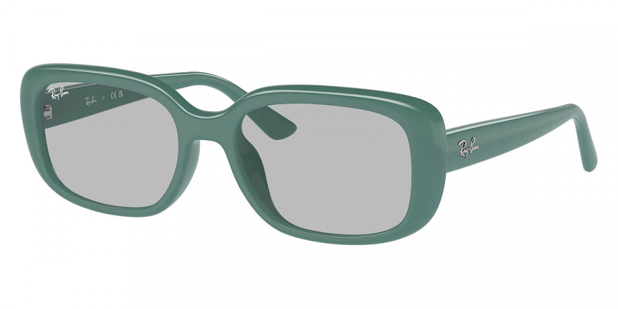Ray-Ban™ - RB4421D