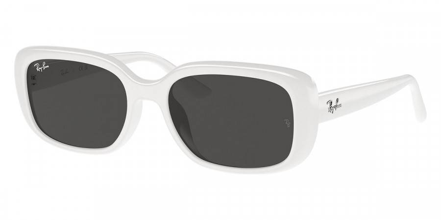 Ray-Ban™ - RB4421D