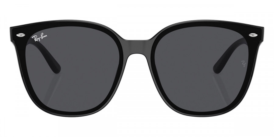 Ray-Ban™ - RB4423D