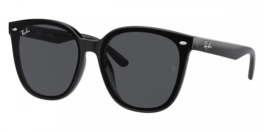 Ray-Ban™ - RB4423D