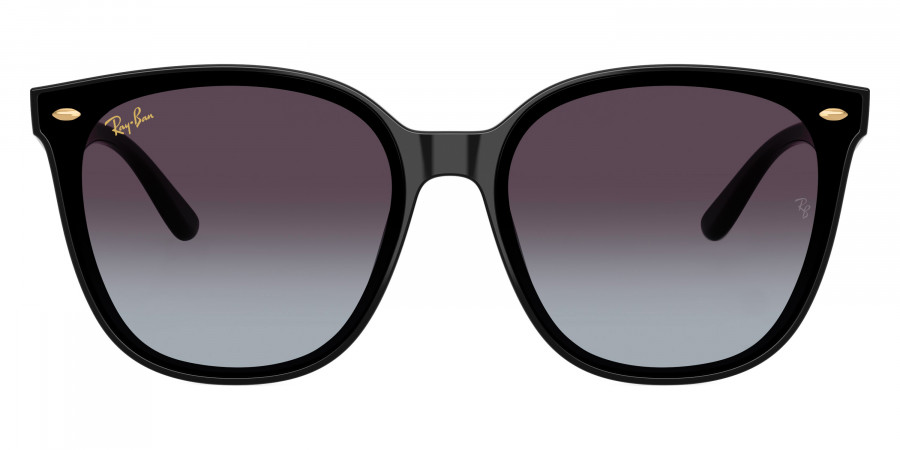 Ray-Ban™ - RB4423D