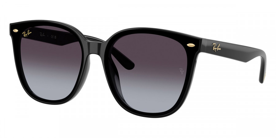 Ray-Ban™ RB4423D 68078G 66 - Black